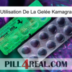 Utilisation De La Gelée Kamagra new04